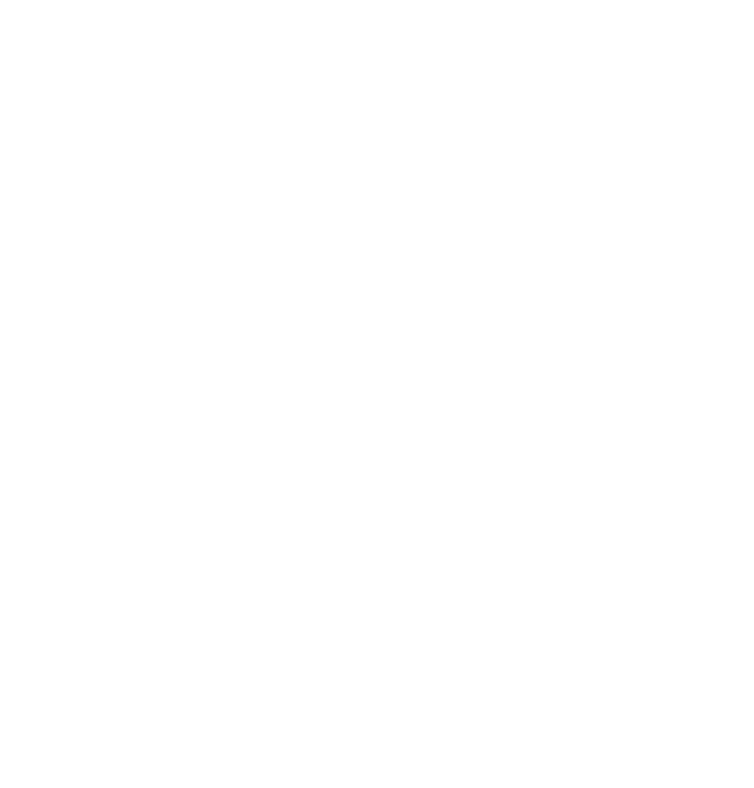 UP Max